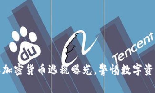 土耳其加密货币逃税曝光，警惕数字资产风险