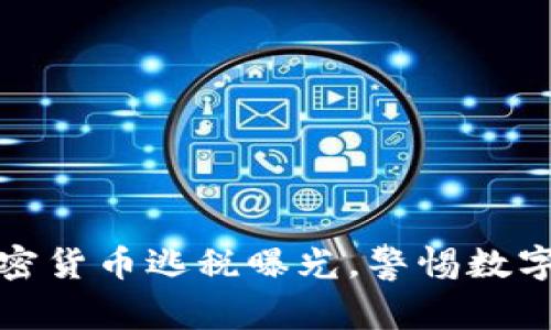 土耳其加密货币逃税曝光，警惕数字资产风险