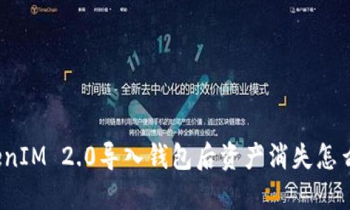 TokenIM 2.0导入钱包后资产消失怎么办？