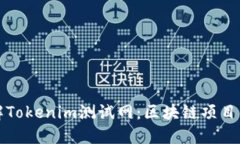 深入了解Tokenim测试网：区块链项目的试验场