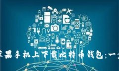 如何在苹果手机上下载比特币钱包：一步步指导