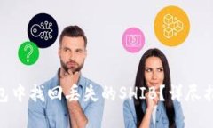 : 如何在冷钱包中找回丢失的SHIB？详尽指南与应