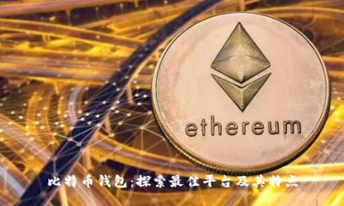 比特币钱包：探索最佳平台及其特点