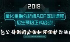 比特币钱包公司倒闭后该如何保护你的数字资产