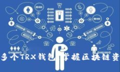 如何轻松设置多个TRX钱包，掌握区块链资产管理
