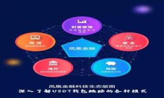 深入了解USDT钱包地址的各种模式