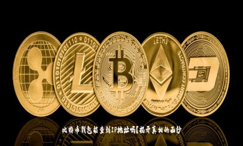 比特币钱包能查到IP地址吗?揭开真相的面纱