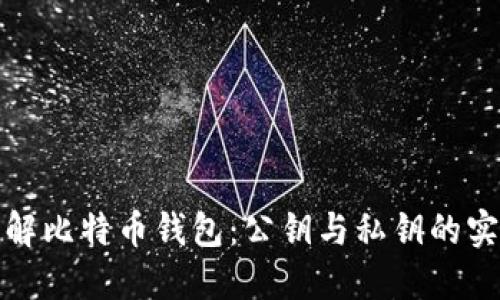 深入了解比特币钱包：公钥与私钥的实用价值