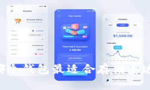 深入探讨：哪个钱包最适合存储泰达币（USDT）？