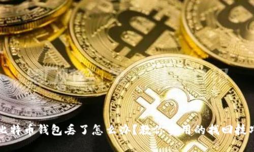 比特币钱包丢了怎么办？教你实用的找回技巧