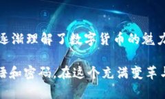 创建Ada钱包是一个简单的