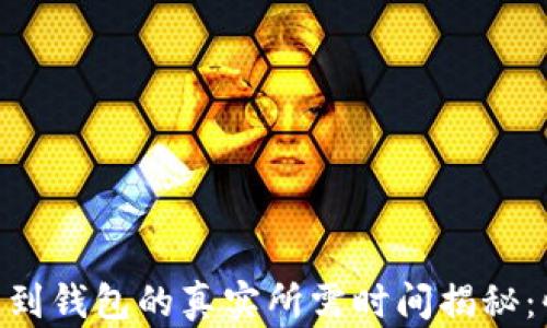 
USDT提币到钱包的真实所需时间揭秘：快还是慢？