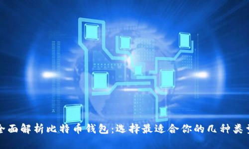 全面解析比特币钱包：选择最适合你的几种类型