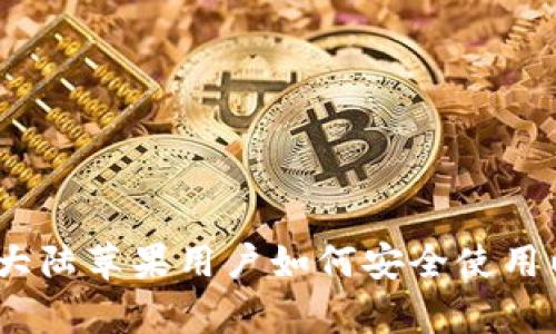 全面解析：大陆苹果用户如何安全使用以太坊钱包