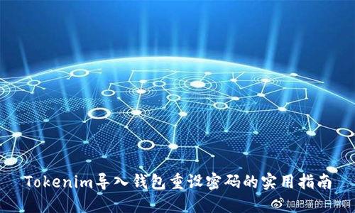Tokenim导入钱包重设密码的实用指南