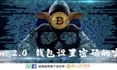 Tokenim 2.0 钱包设置密码的实用指南